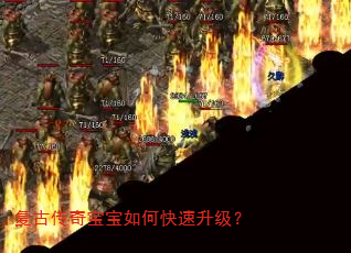 ���Ŵ��汦����ο���������