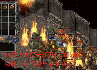 如何快速提升新开热血传奇私服角色等级与装备获取? 如何快速提升新开热血传奇私服角色等级与装备获取?