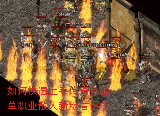 如何快速上手传奇私服单职业散人新版首区? 如何快速上手传奇私服单职业散人新版首区?