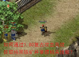 如何通过1.80复古攻击高效获取纯黑铁矿并掌握相关技能? 如何通过1.80复古攻击高效获取纯黑铁矿并掌握相关技能?
