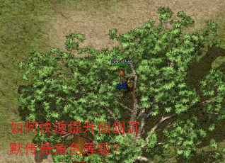 如何快速提升仙剑沉默传奇角色等级? 如何快速提升仙剑沉默传奇角色等级?