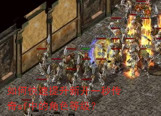 如何快速提升新开一秒传奇sf中的角色等级? 如何快速提升新开一秒传奇sf中的角色等级?