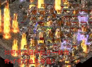 ��ο��������¿�һ�봫��sf�еĽ�ɫ�ȼ���