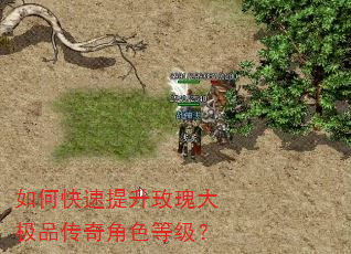 如何快速提升玫瑰大极品传奇角色等级? 如何快速提升玫瑰大极品传奇角色等级?