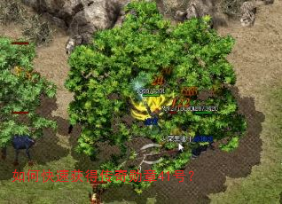 ��ο��ٻ�ô���ѫ��41�ţ�