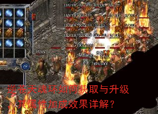 逆苍天魂环如何获取与升级,其属性加成效果详解? 逆苍天魂环如何获取与升级,其属性加成效果详解?