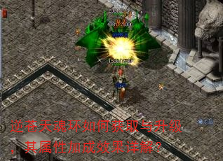 逆苍天魂环如何获取与升级,其属性加成效果详解? 逆苍天魂环如何获取与升级,其属性加成效果详解?