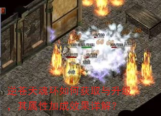 逆苍天魂环如何获取与升级,其属性加成效果详解? 逆苍天魂环如何获取与升级,其属性加成效果详解?