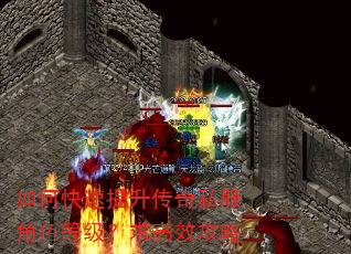 如何快速提升传奇私服角色等级?求高效攻略 如何快速提升传奇私服角色等级?求高效攻略