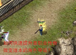 如何快速提升单职业传奇微变版本的角色等级? 如何快速提升单职业传奇微变版本的角色等级?