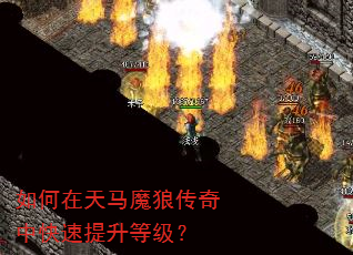 如何在天马魔狼传奇中快速提升等级? 如何在天马魔狼传奇中快速提升等级?