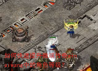 如何快速提升微端传奇xinaiwang中的角色等级? 如何快速提升微端传奇xinaiwang中的角色等级?