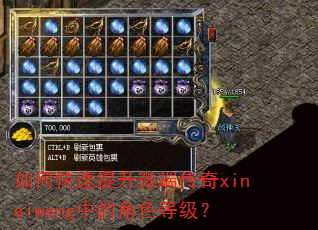 如何快速提升微端传奇xinaiwang中的角色等级? 如何快速提升微端传奇xinaiwang中的角色等级?