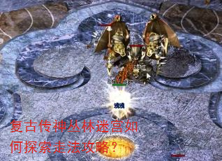 复古传神丛林迷宫如何探索走法攻略? 复古传神丛林迷宫如何探索走法攻略?