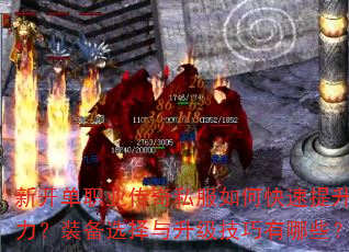�¿���ְҵ����˽����ο�������ս����װ��ѡ����������������Щ��