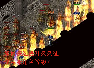 如何快速提升久久征途私服角色等级? 如何快速提升久久征途私服角色等级?