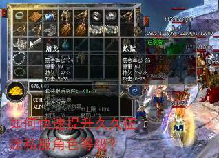 如何快速提升久久征途私服角色等级? 如何快速提升久久征途私服角色等级?