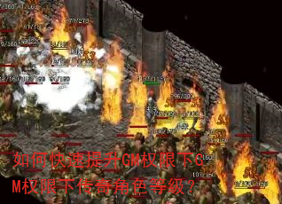 如何快速提升GM权限下GM权限下传奇角色等级? 如何快速提升GM权限下GM权限下传奇角色等级?
