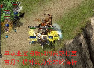 单职业宠物版如何高效打宝宝丹?提升战力全攻略解析 单职业宠物版如何高效打宝宝丹?提升战力全攻略解析
