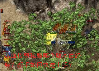 ��Ѫ����˽���ĸ��汾��䣿������ο������֣�