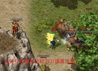 ��δ������������������洫�棿