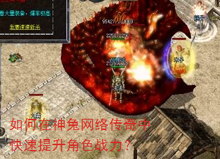 ������������紫���п���������ɫս����