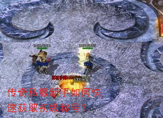 ����˽��������ο��ٻ�ȡ�����ƺţ�